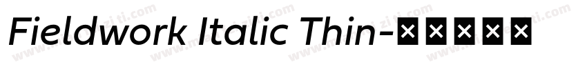 Fieldwork Italic Thin字体转换
